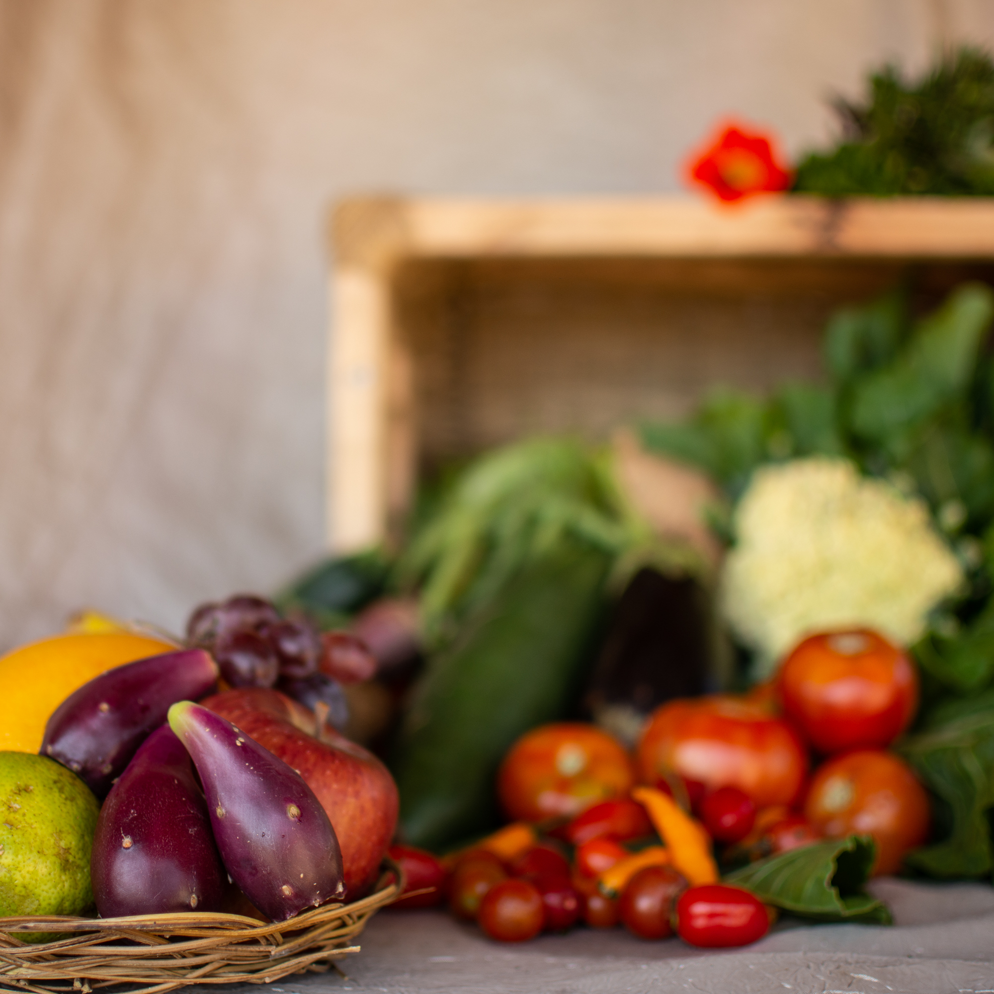 Seasonal Veggie Basket, Basic Ecolodgy Permaculture Centre